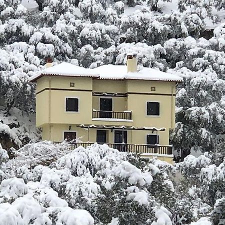 Pelion Mountain & Sea Villa - Private Studio Ano Gatzea Exterior foto