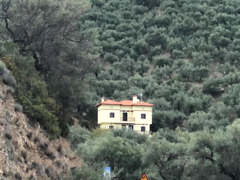 Pelion Mountain & Sea Villa - Private Studio Ano Gatzea Exterior foto