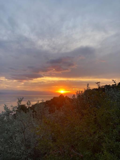Pelion Mountain & Sea Villa - Private Studio Ano Gatzea Exterior foto
