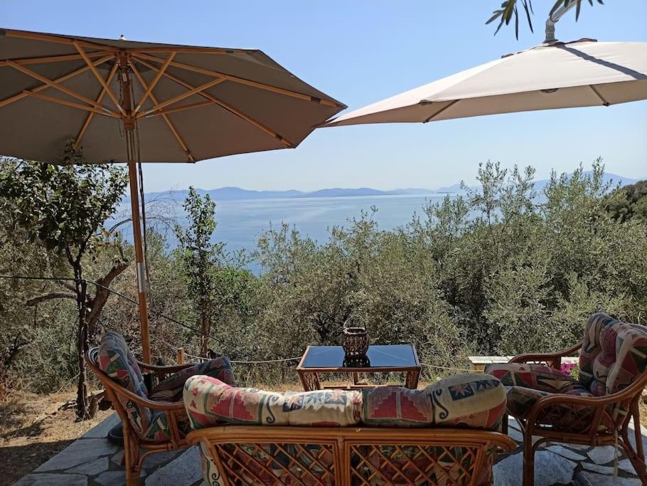 Pelion Mountain & Sea Villa - Private Studio Ano Gatzea Exterior foto