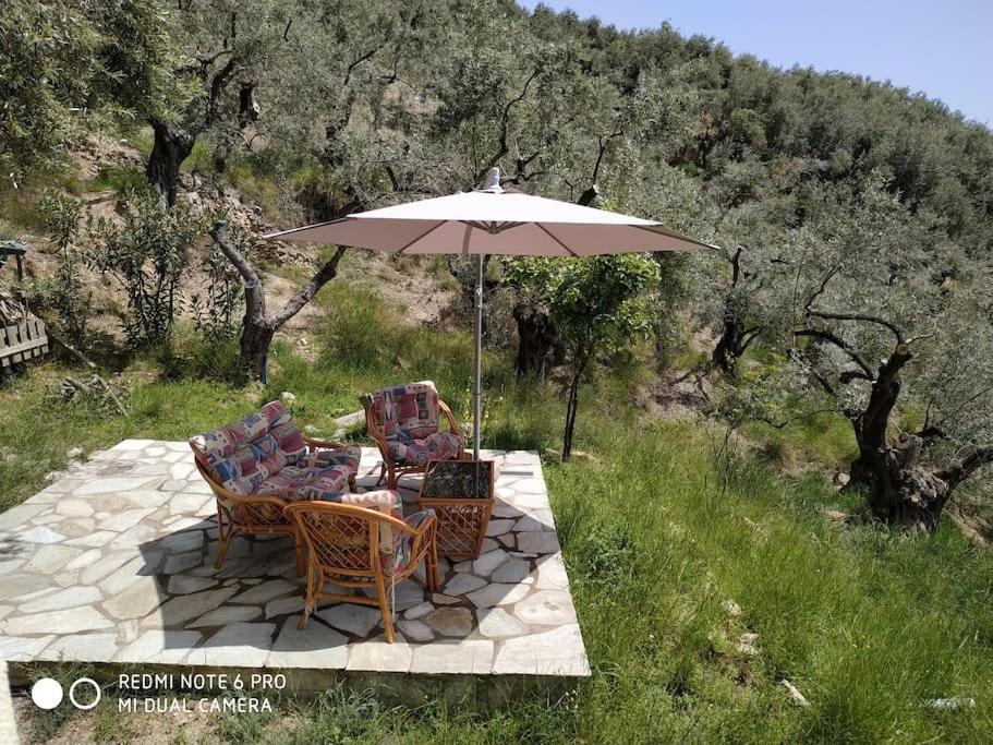 Pelion Mountain & Sea Villa - Private Studio Ano Gatzea Exterior foto